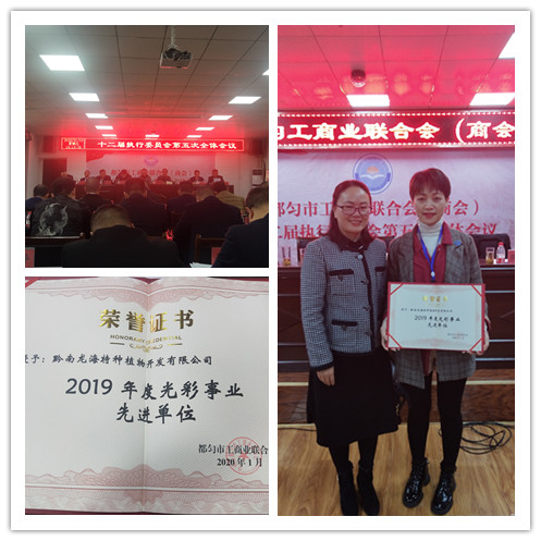 122cc太阳集成游戏(中国)有限公司官网