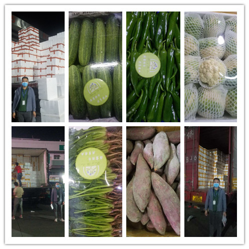 122cc太阳集成游戏(中国)有限公司官网