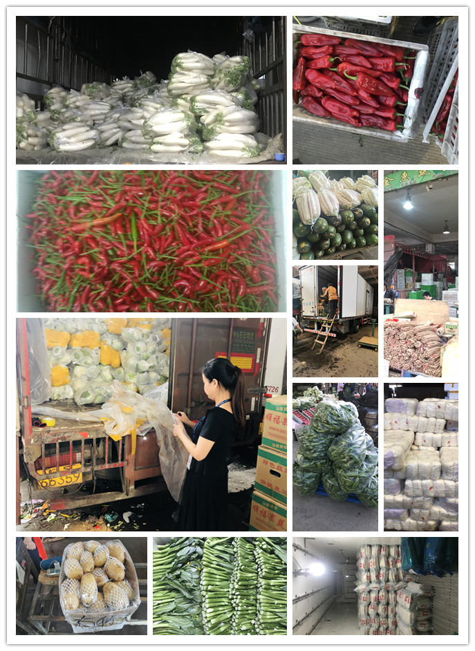 122cc太阳集成游戏(中国)有限公司官网