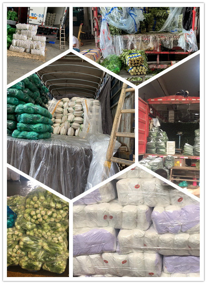 122cc太阳集成游戏(中国)有限公司官网