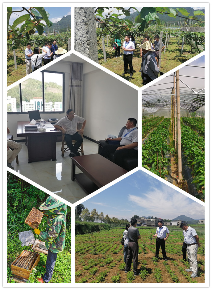 122cc太阳集成游戏(中国)有限公司官网