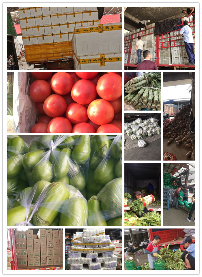 122cc太阳集成游戏(中国)有限公司官网