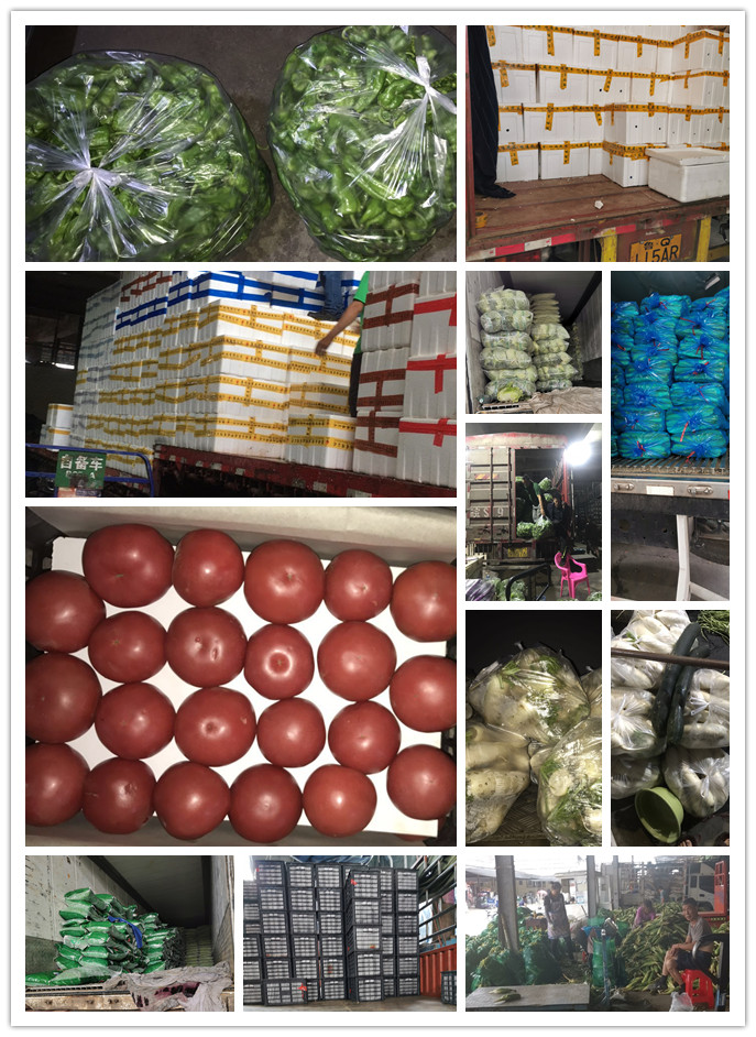 122cc太阳集成游戏(中国)有限公司官网