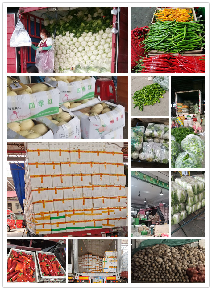 122cc太阳集成游戏(中国)有限公司官网