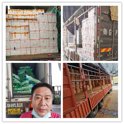 122cc太阳集成游戏(中国)有限公司官网