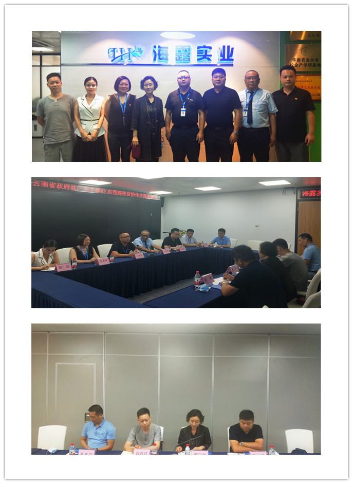 122cc太阳集成游戏(中国)有限公司官网