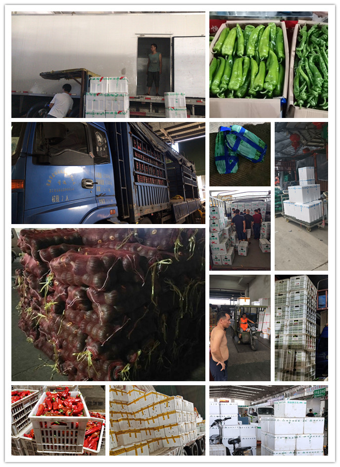 122cc太阳集成游戏(中国)有限公司官网