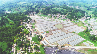 122cc太阳集成游戏(中国)有限公司官网