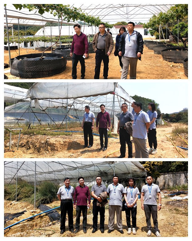 122cc太阳集成游戏(中国)有限公司官网