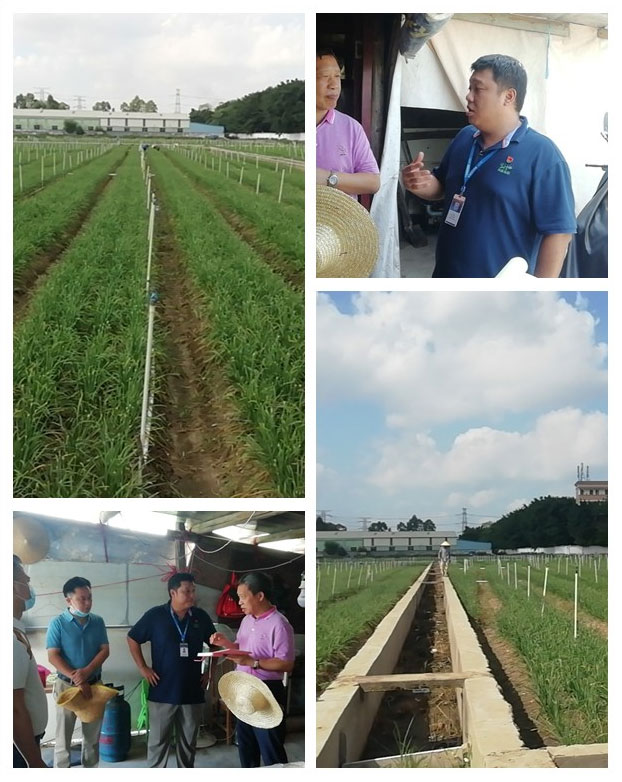 122cc太阳集成游戏(中国)有限公司官网