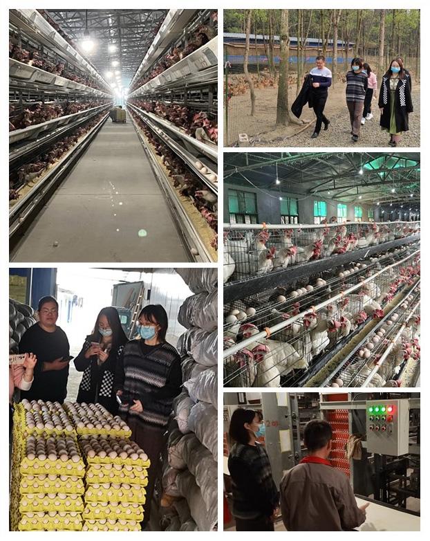 122cc太阳集成游戏(中国)有限公司官网