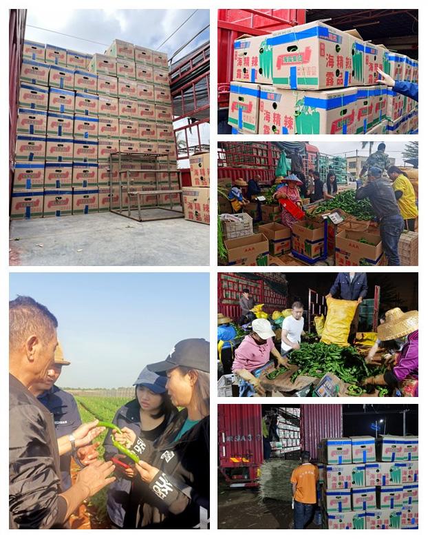 122cc太阳集成游戏(中国)有限公司官网