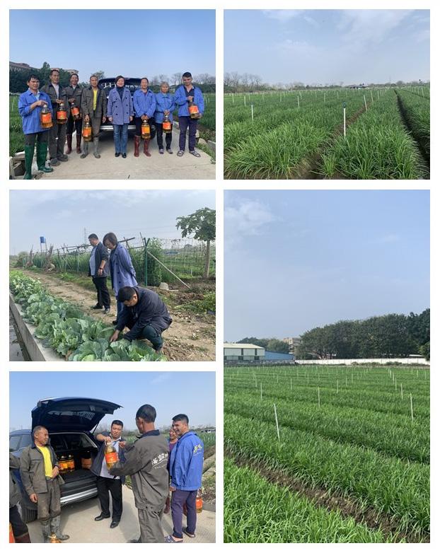 122cc太阳集成游戏(中国)有限公司官网