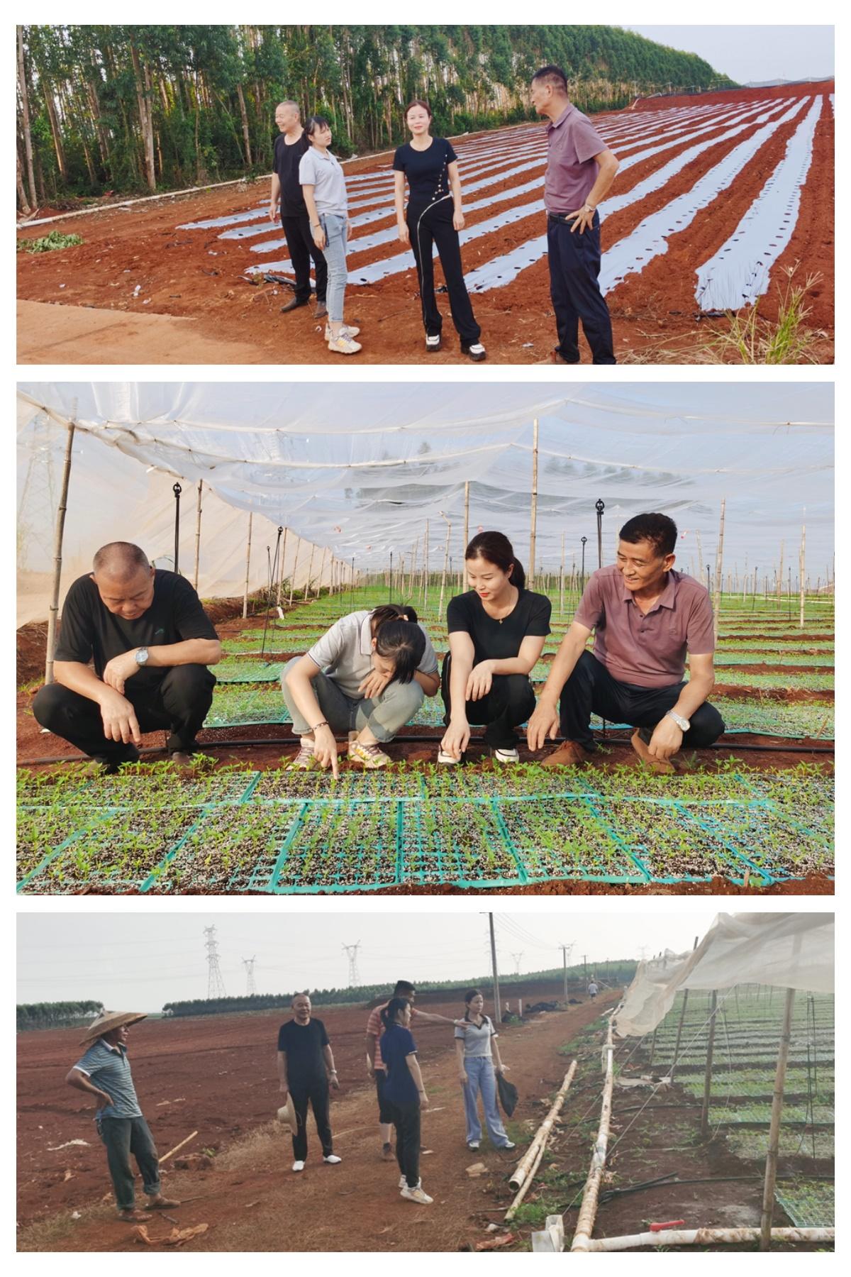 122cc太阳集成游戏(中国)有限公司官网