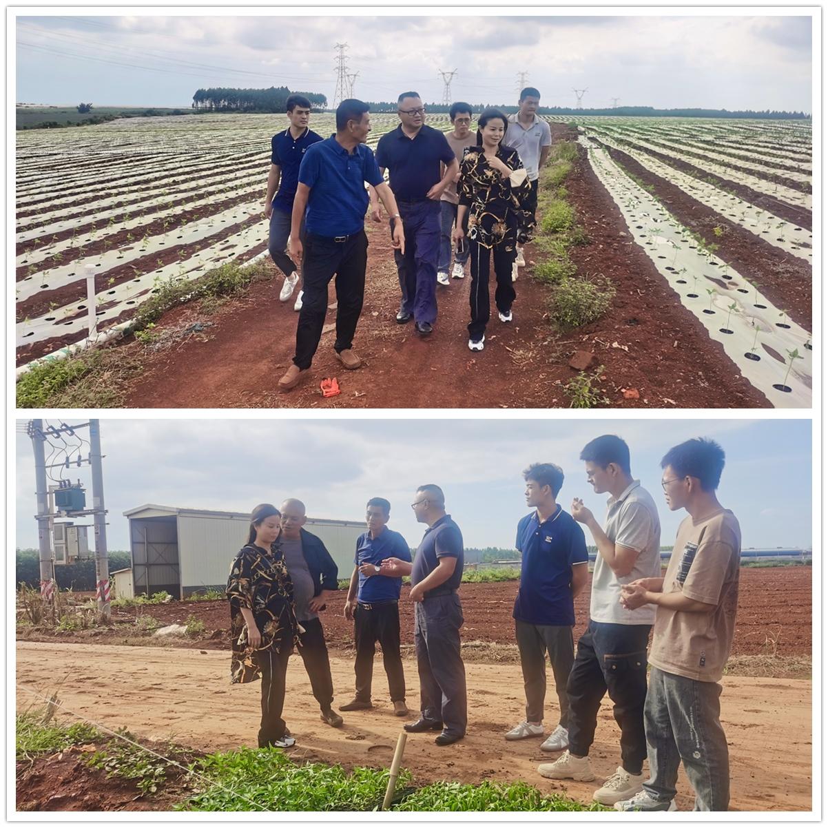 122cc太阳集成游戏(中国)有限公司官网