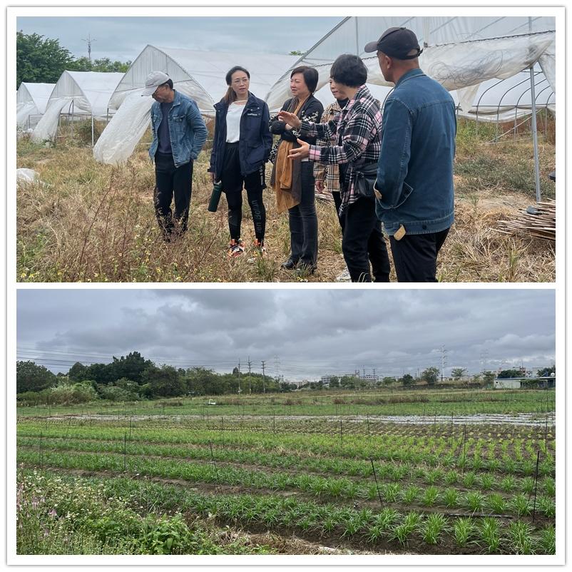 122cc太阳集成游戏(中国)有限公司官网