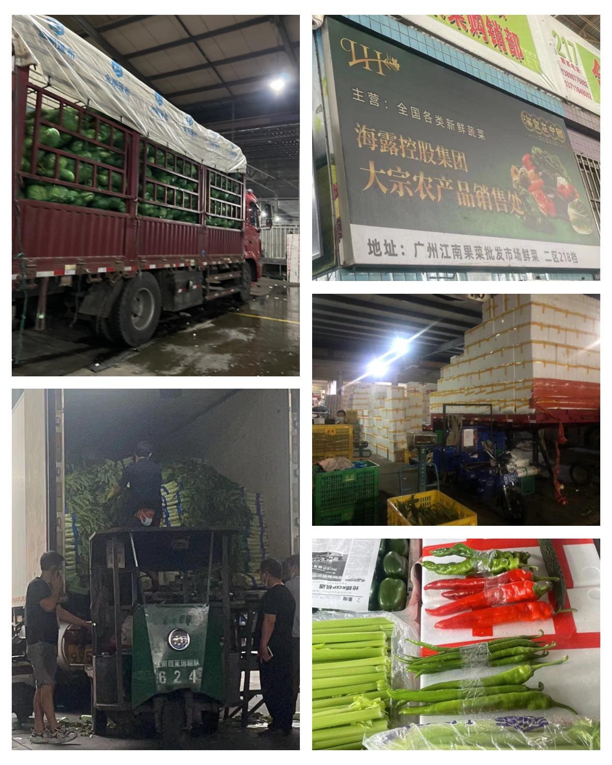 122cc太阳集成游戏(中国)有限公司官网