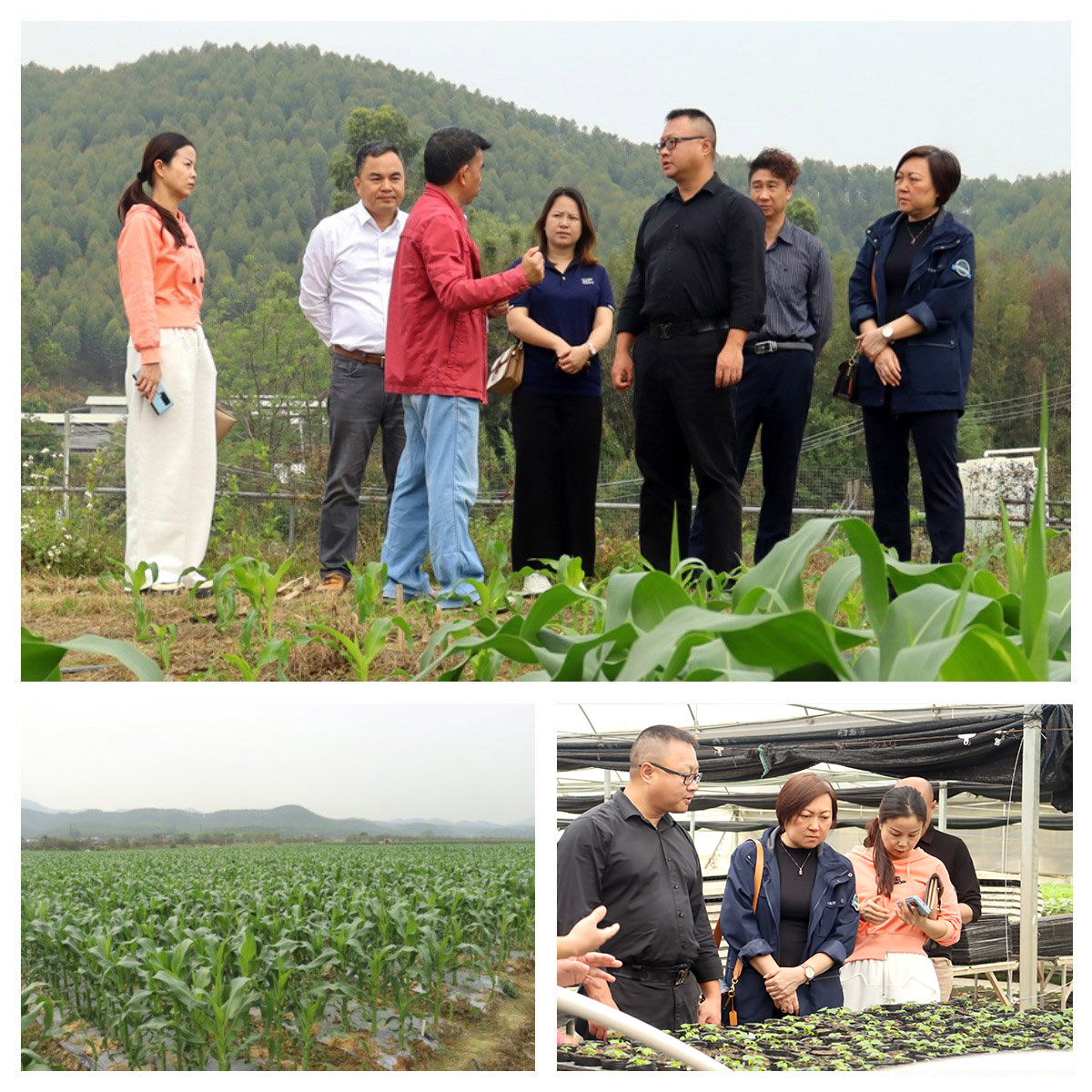 122cc太阳集成游戏(中国)有限公司官网