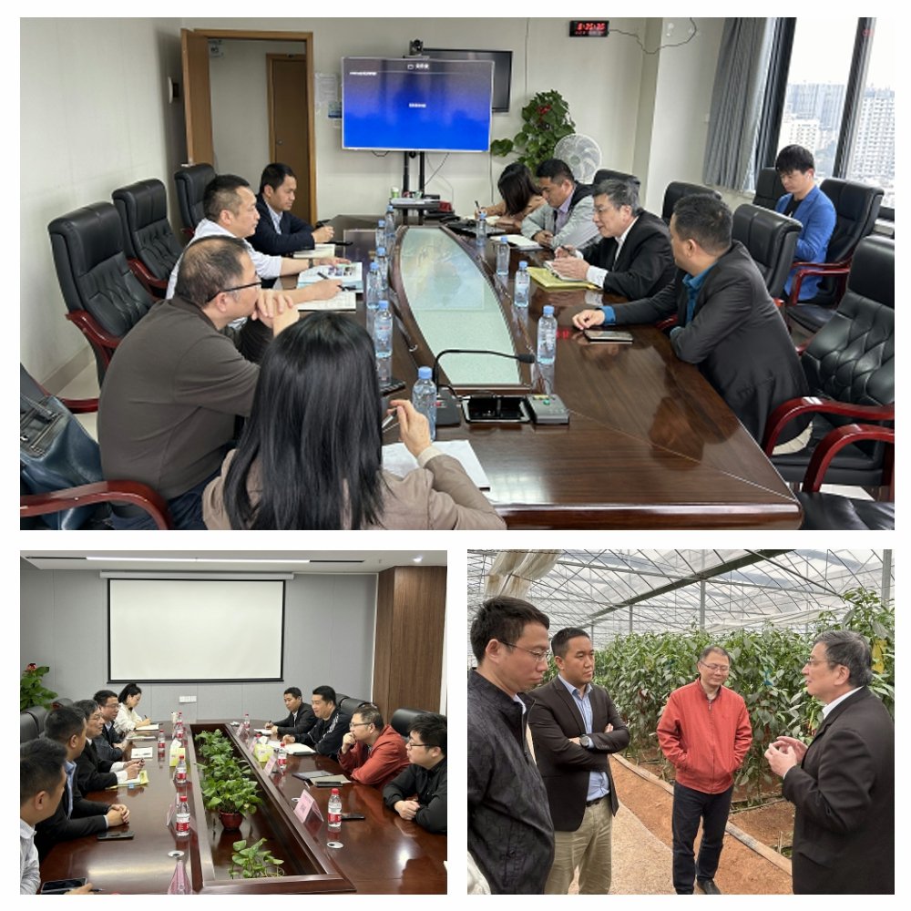 122cc太阳集成游戏(中国)有限公司官网