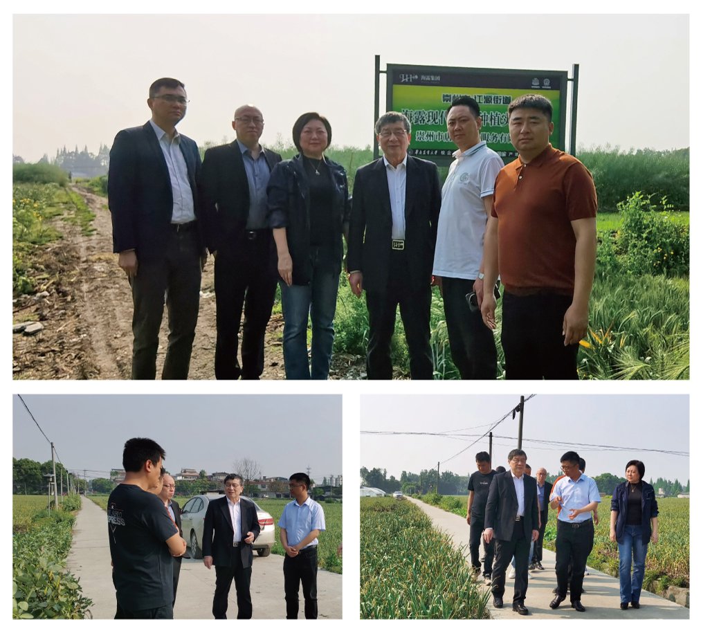 122cc太阳集成游戏(中国)有限公司官网