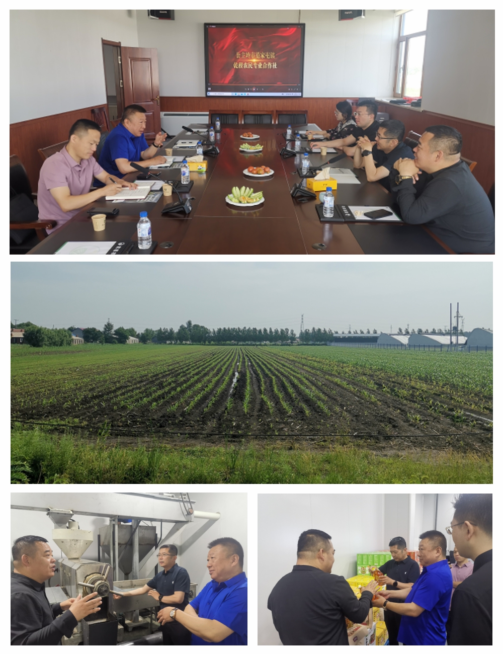 122cc太阳集成游戏(中国)有限公司官网