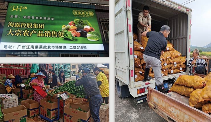 122cc太阳集成游戏(中国)有限公司官网