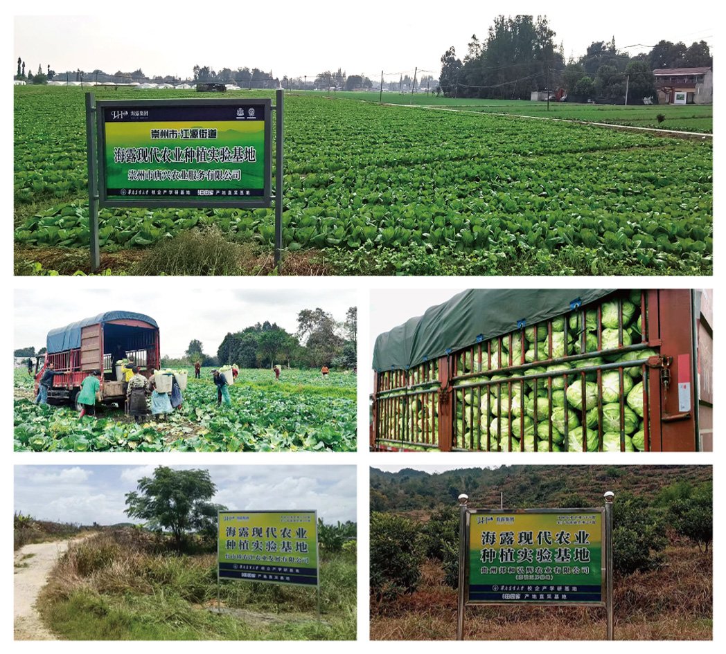 122cc太阳集成游戏(中国)有限公司官网