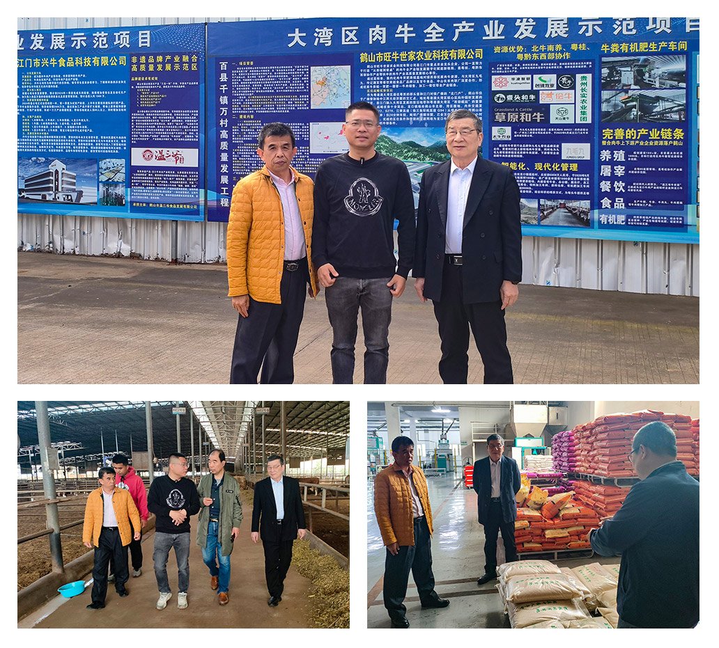 122cc太阳集成游戏(中国)有限公司官网