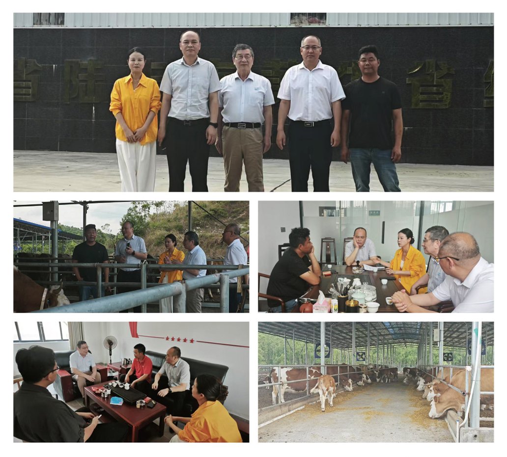 122cc太阳集成游戏(中国)有限公司官网