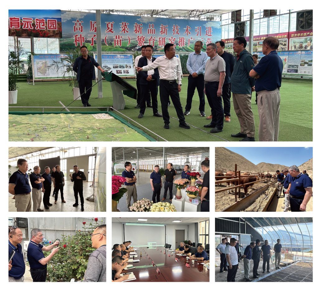 122cc太阳集成游戏(中国)有限公司官网