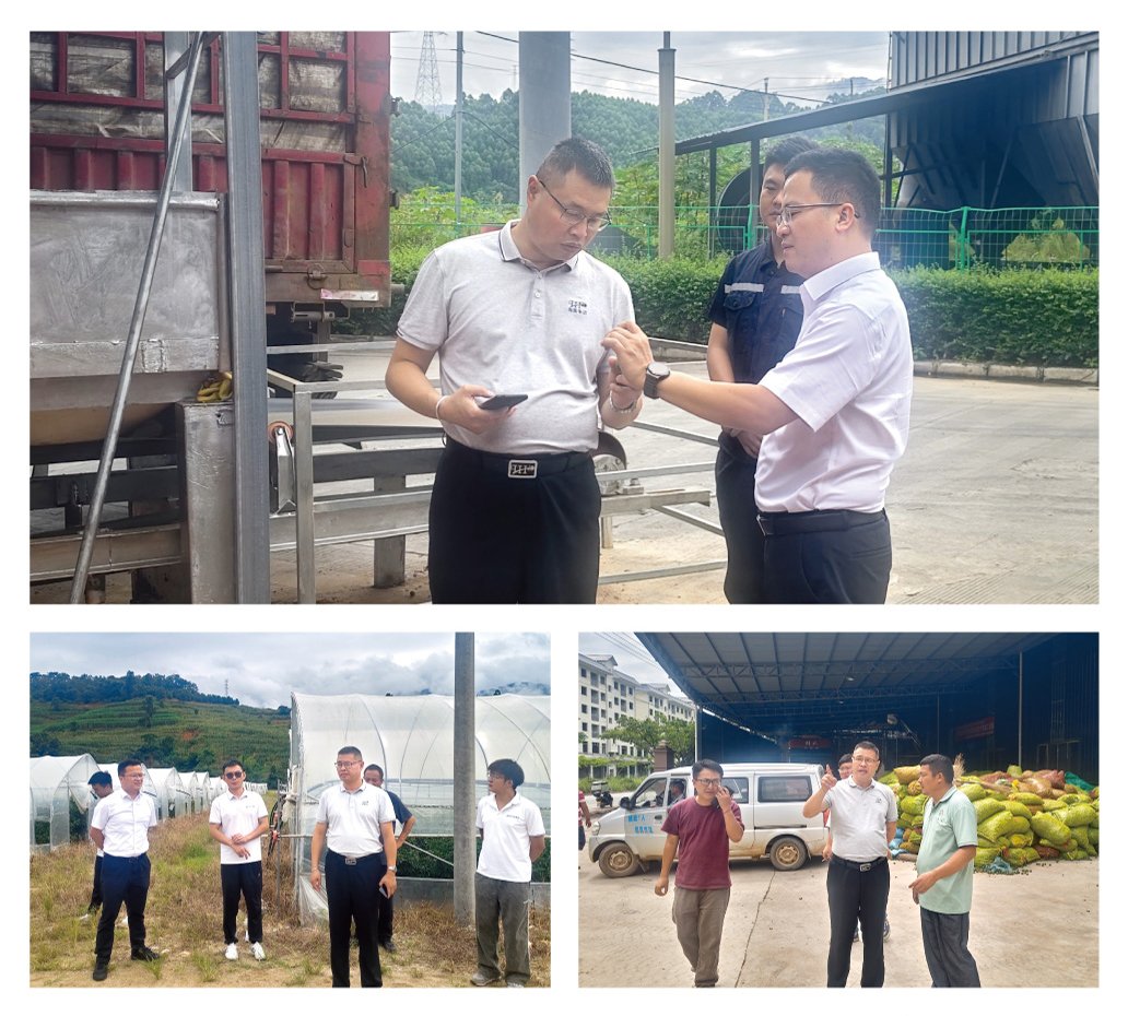 122cc太阳集成游戏(中国)有限公司官网