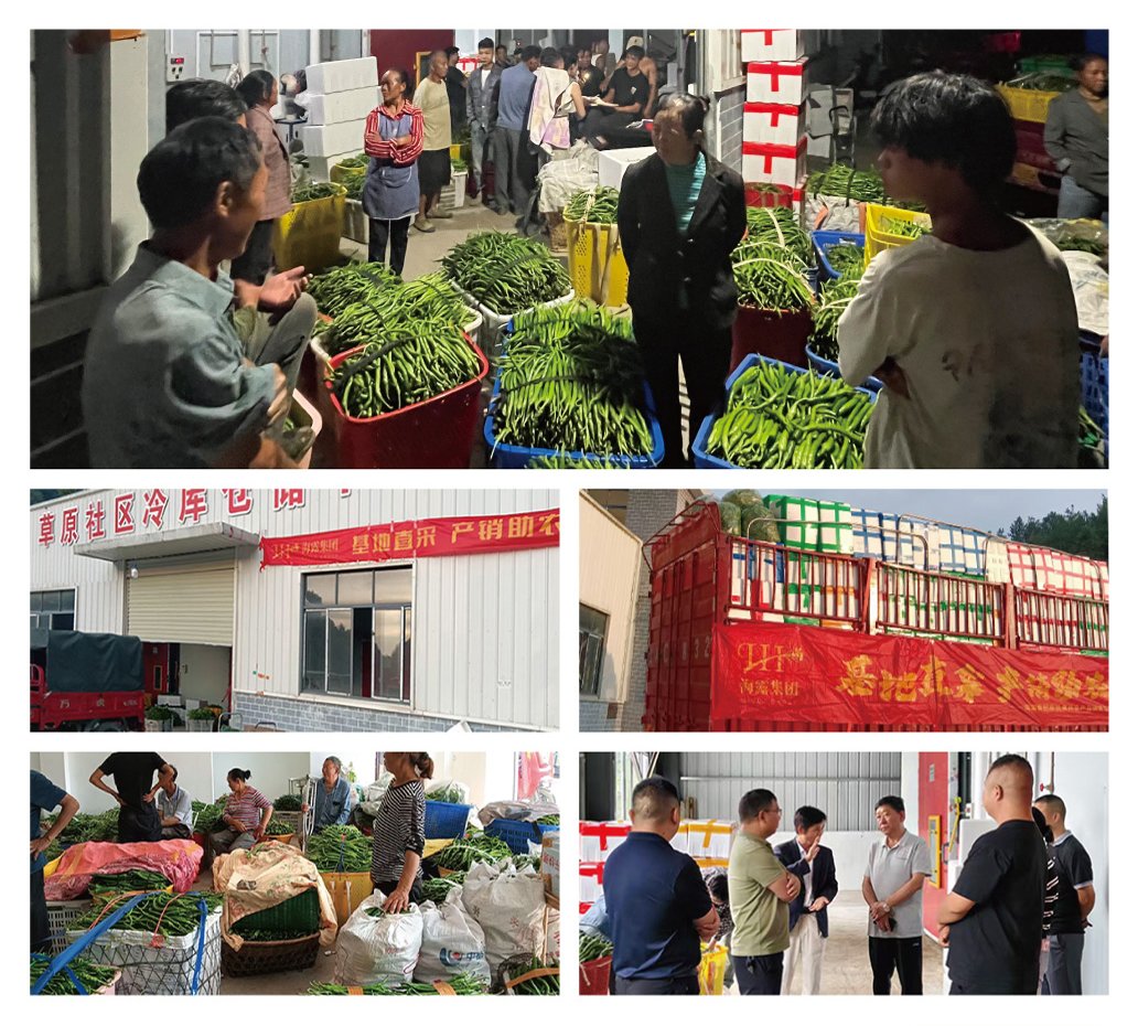 122cc太阳集成游戏(中国)有限公司官网