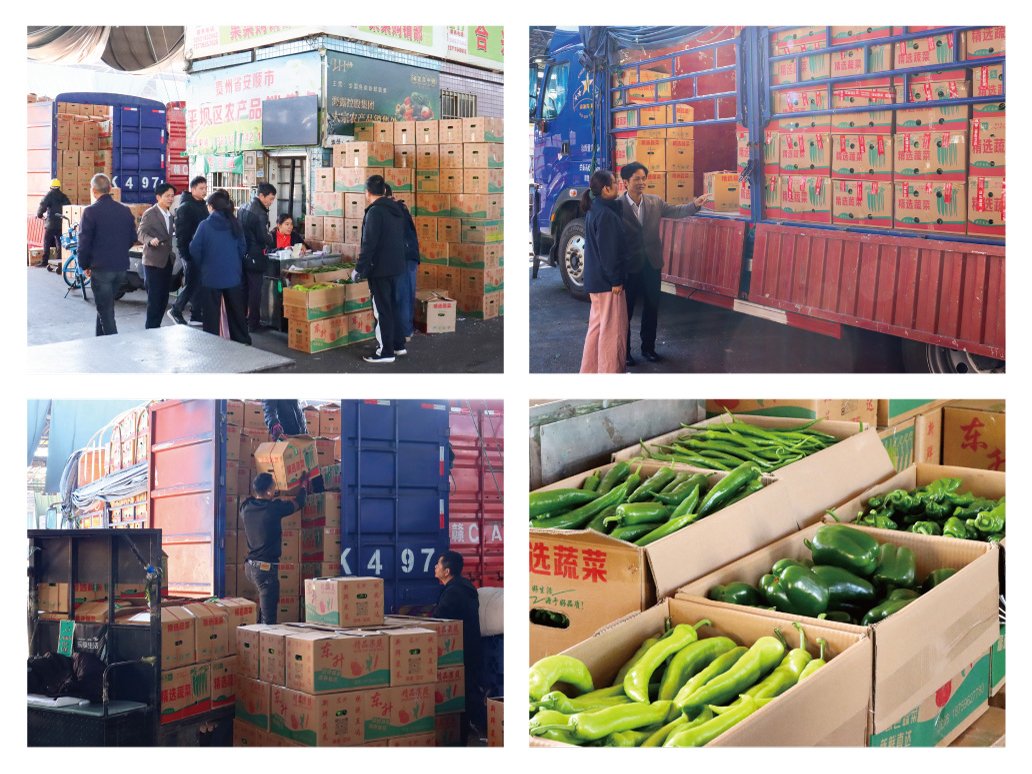 122cc太阳集成游戏(中国)有限公司官网