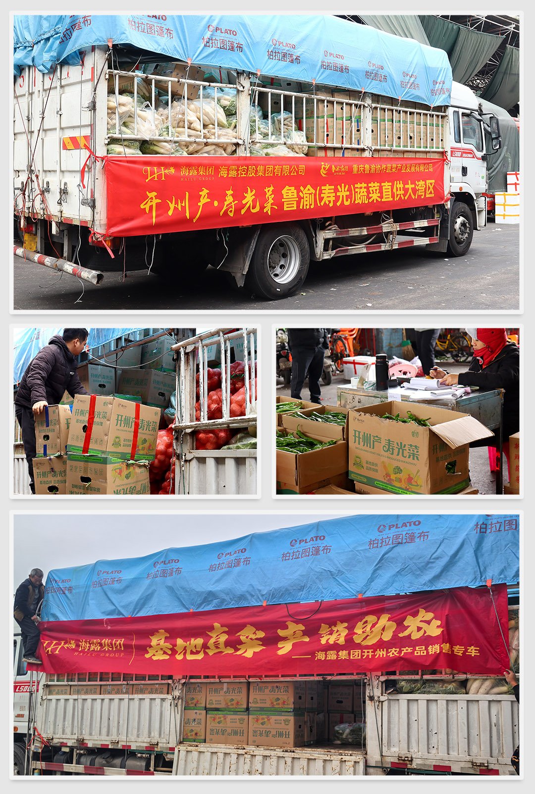 122cc太阳集成游戏(中国)有限公司官网